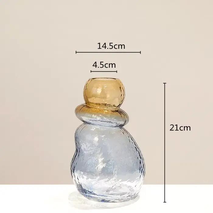 Vase en verre dégradé de couleur, forme de gourde, terrarium irrégulier, accessoires pour arrangemen