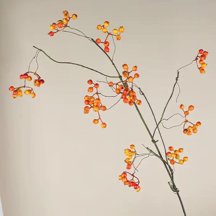Branche de fleurs de fruits de baies de Noël