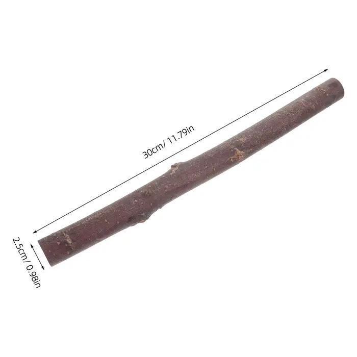 6 brins de bouleau séchés
