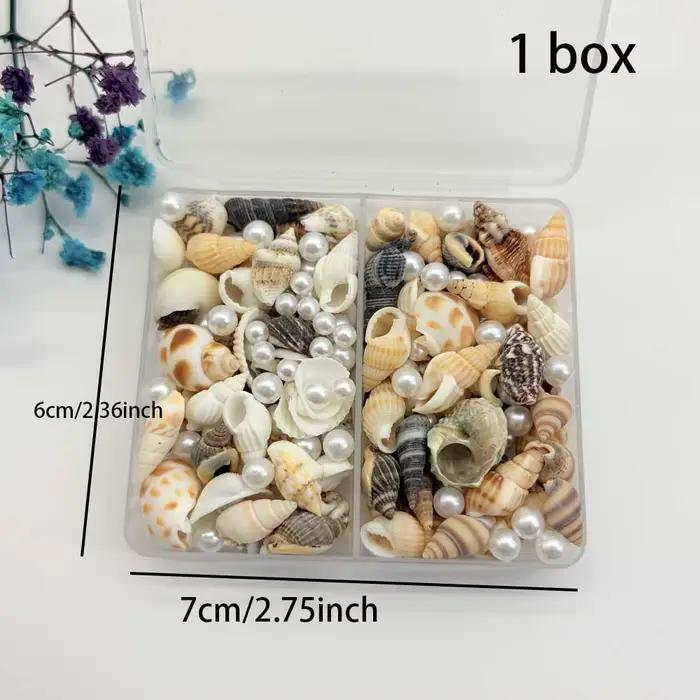 1/2 boîtes de coquillages mixtes naturelles
