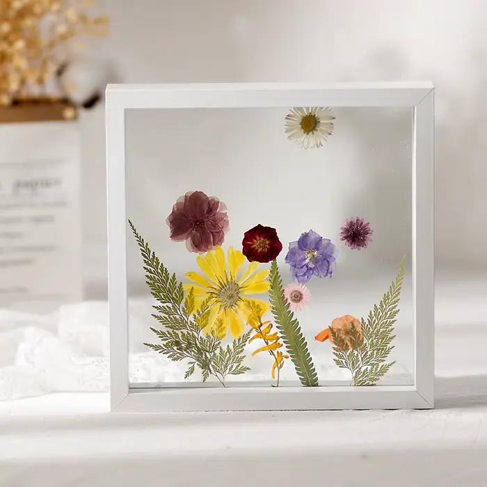 Cadre d'échantillon en bois avec cadre Photo en verre véritable