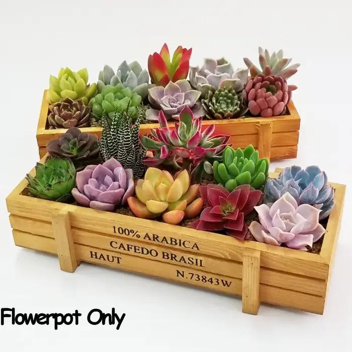 Pots décoratifs pour décoration de jardin