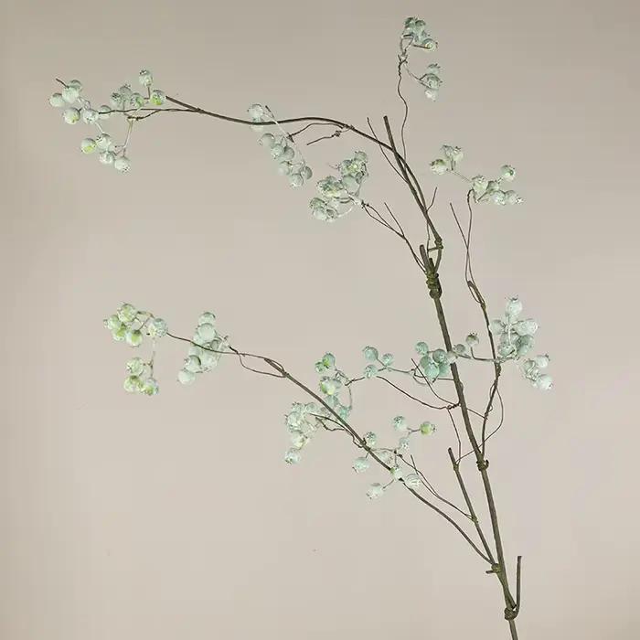 Branche de fleurs de fruits de baies de Noël
