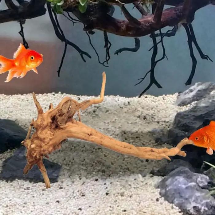 Tronc d'arbre naturel pour décoration d'aquarium, travail en bois, branches de bois flotté, ornements de poisson, fournitures de décoration précieuses