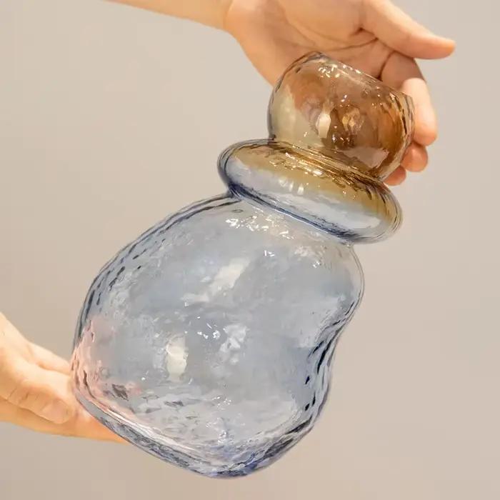 Vase en verre dégradé de couleur, forme de gourde, terrarium irrégulier, accessoires pour arrangements floraux, accessoires de décoration intérieure