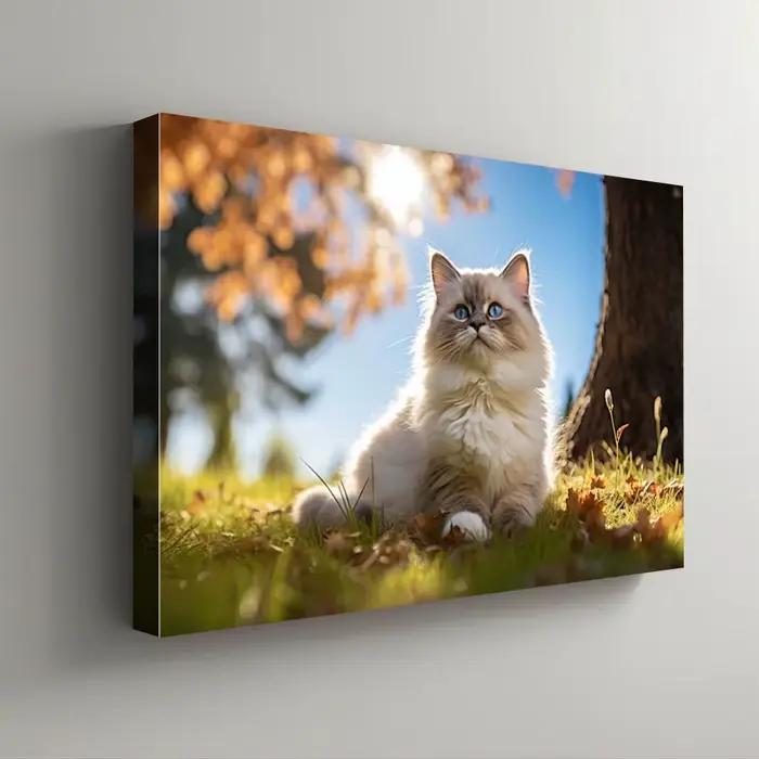 Photos personnalisées avec cadre en bois ou affiche sans cadre