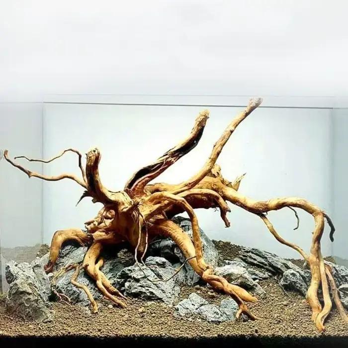 Tronc d'arbre naturel pour décoration d'aquarium, travail en bois, branches de bois flotté, ornements de poisson, fournitures de décoration précieuses
