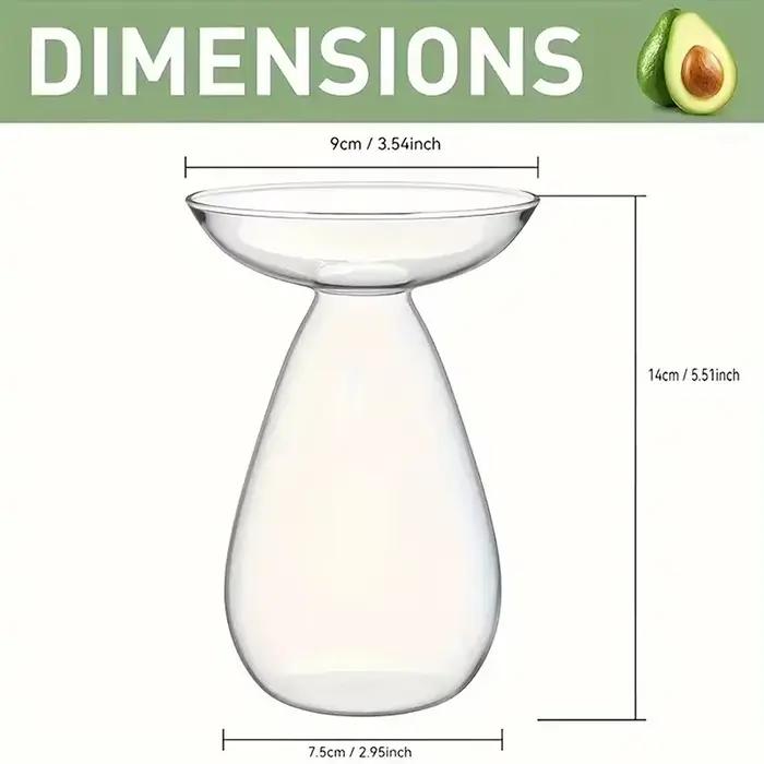 Vase en verre coloré en forme d'avocat - Jardinière hydroponique transparente pour la germination des graines