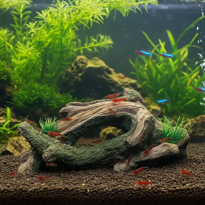 Décor d'aquarium en bois flotté