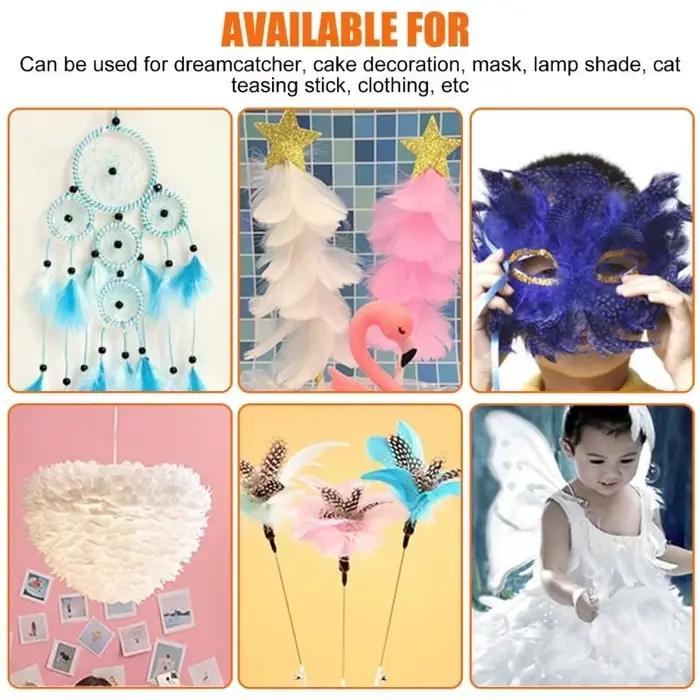 PACK 39BB 100 plumes naturelles colorées pour l'artisanat les décorations mariage
