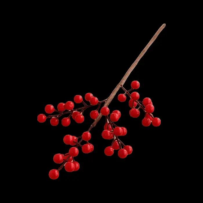 Branche de baies rouges givrées