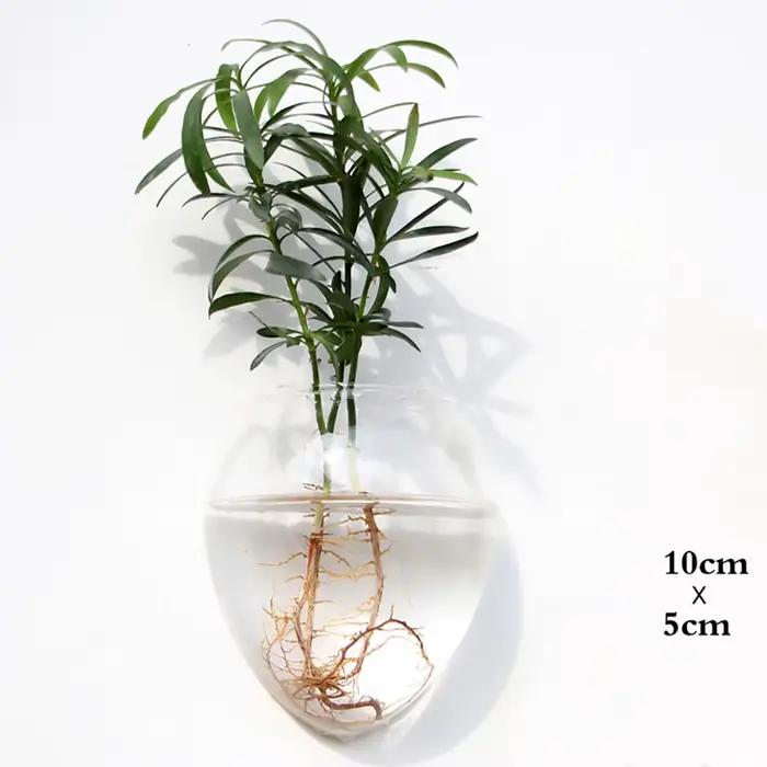 Vase à fleurs en verre suspendu au mur, Terrarium mural pour Aquarium, conteneur de fleurs, Pots de jardinière, décoration de jardin de maison