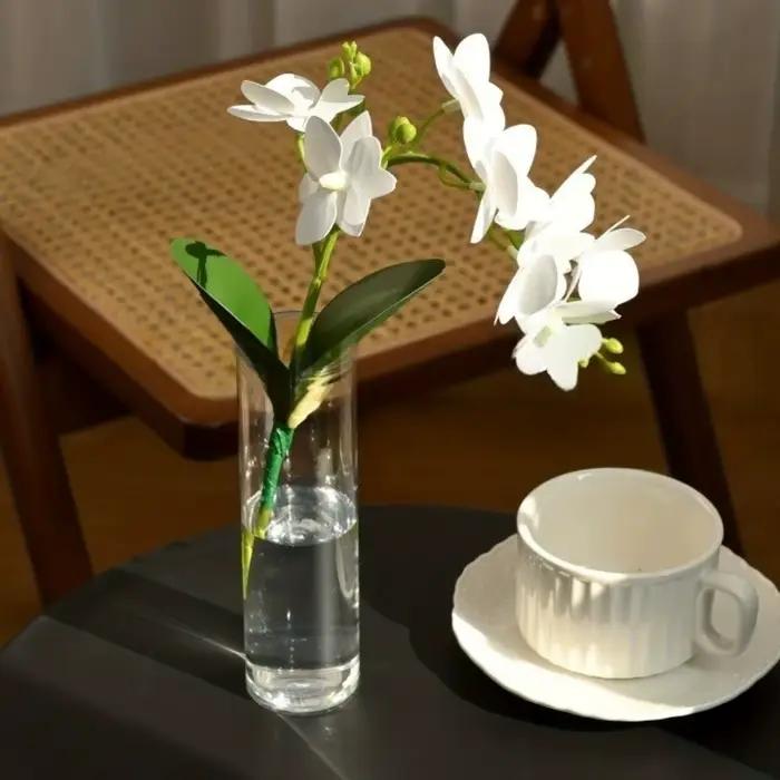 Vases transparents pour fleurs