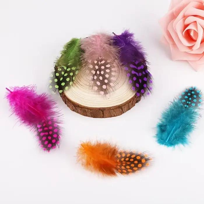 PACK 39BB 100 plumes naturelles colorées pour l'artisanat les décorations mariage