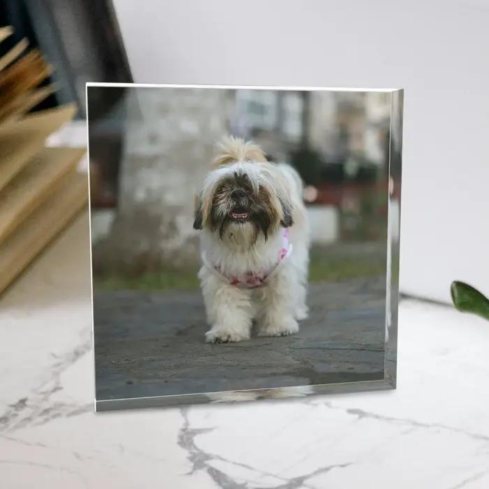 Plaque Photo en acrylique personnalisée de 7 pouces, cadre Photo imprimé UV, cadeau personnalisé pour la fête des mères, la saint-valentin, la noël