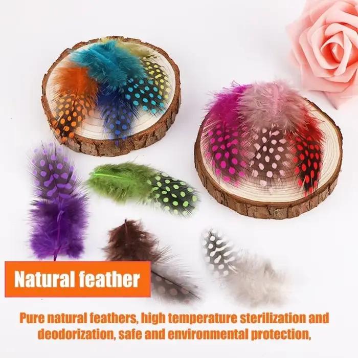 PACK 39BB 100 plumes naturelles colorées pour l'artisanat les décorations mariage