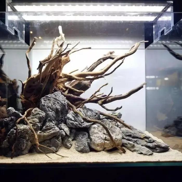 Décoration d'aquarium de coffre d'arbre naturel, 1 pièce, œuvre d'art en bois, ornements d'aménagement paysager, fournitures d'ornement d'aquarium