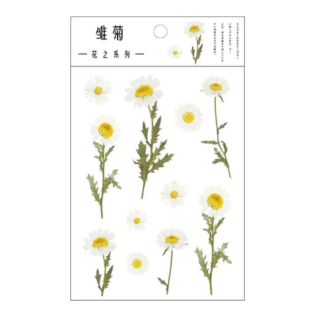Autocollants de décoration en PET Transparent, 12 modèles, marguerites, plantes, trèfle, fleurs, feu