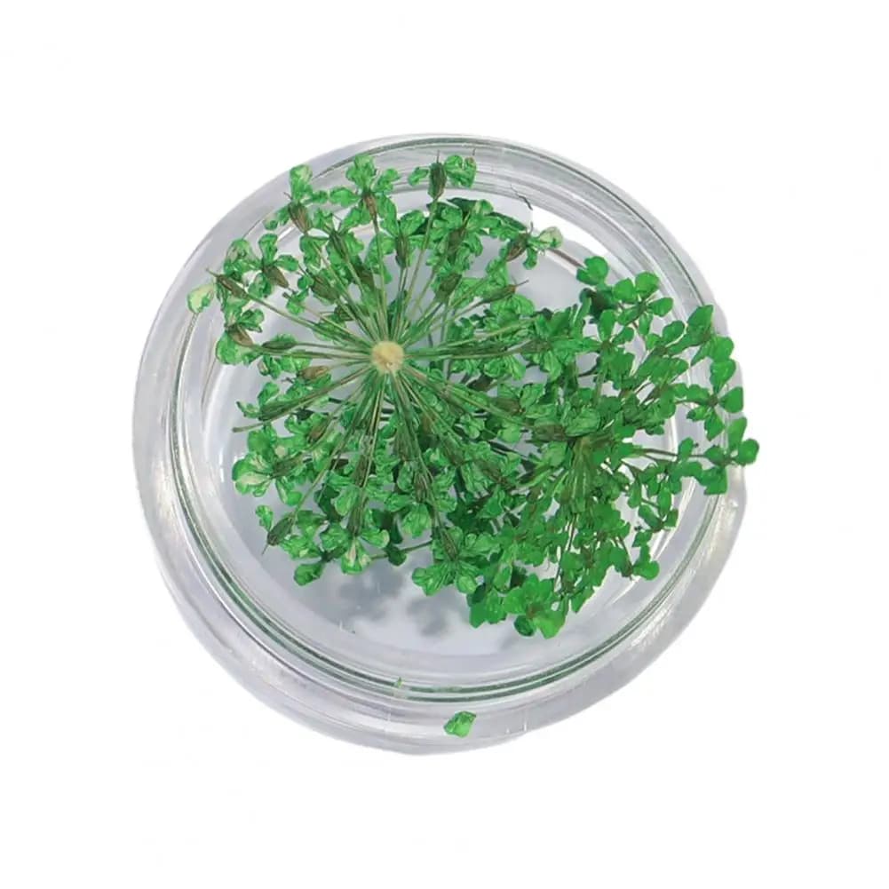 1 boîte de breloques pour ongles, effet 3D exquis, décorations pour Nail Art, fleurs séchées naturel