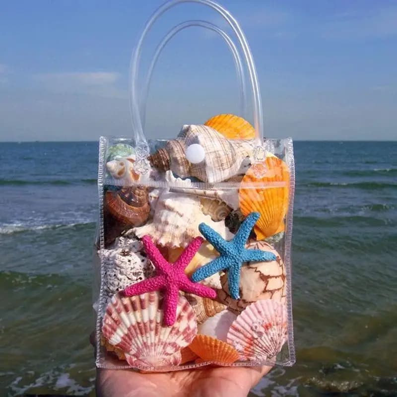 Collection de coquillages naturels - Conque, étoile de mer et décoration pour aquariums, aquariums, 