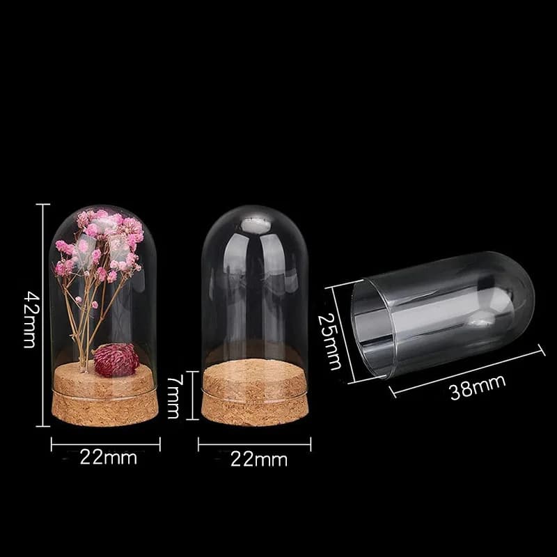 Mini Bocaux Décoratifs en Verre avec Base en Liège, pour le Stockage de Fleurs, Everche Bell Jar, HI