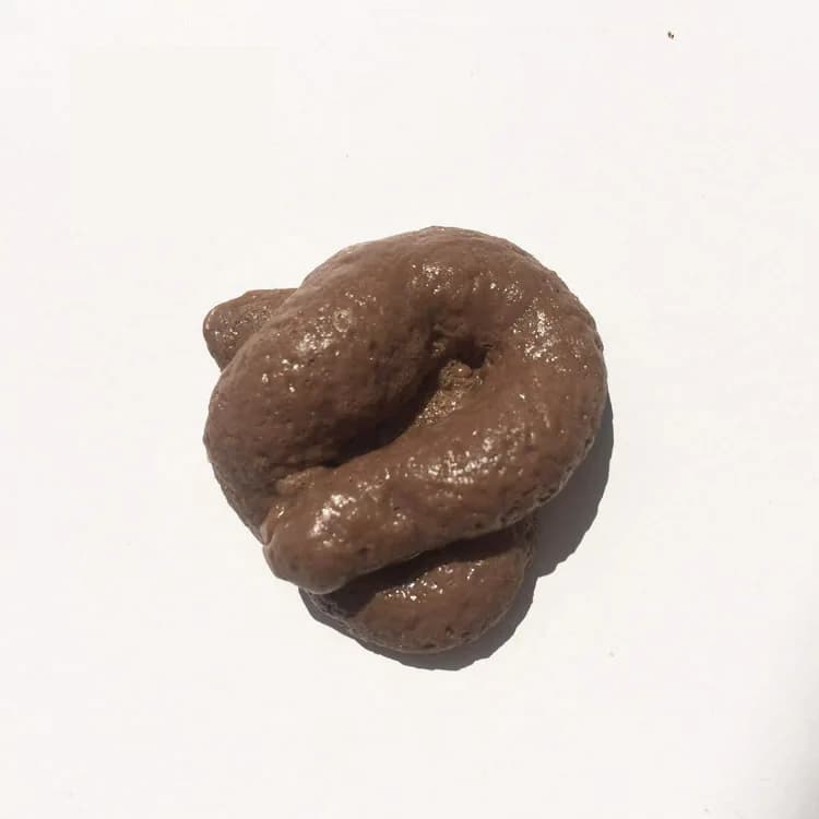 Cadeau de merde réaliste jouets drôles faux merde morceau de merde blague Antistress Gadget Squish j