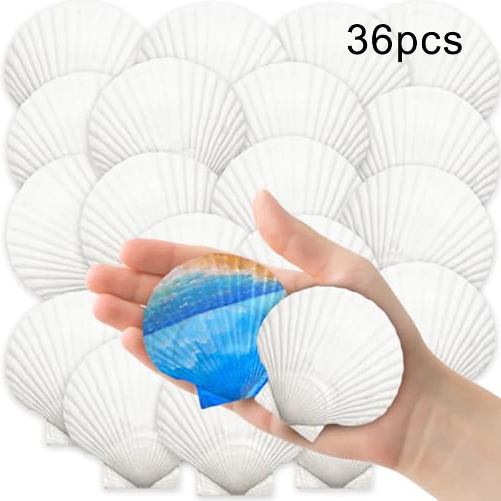Coquilles de pétoncle blanches naturelles, 36 pièces, pour bricolage, décoration de plage et mariage