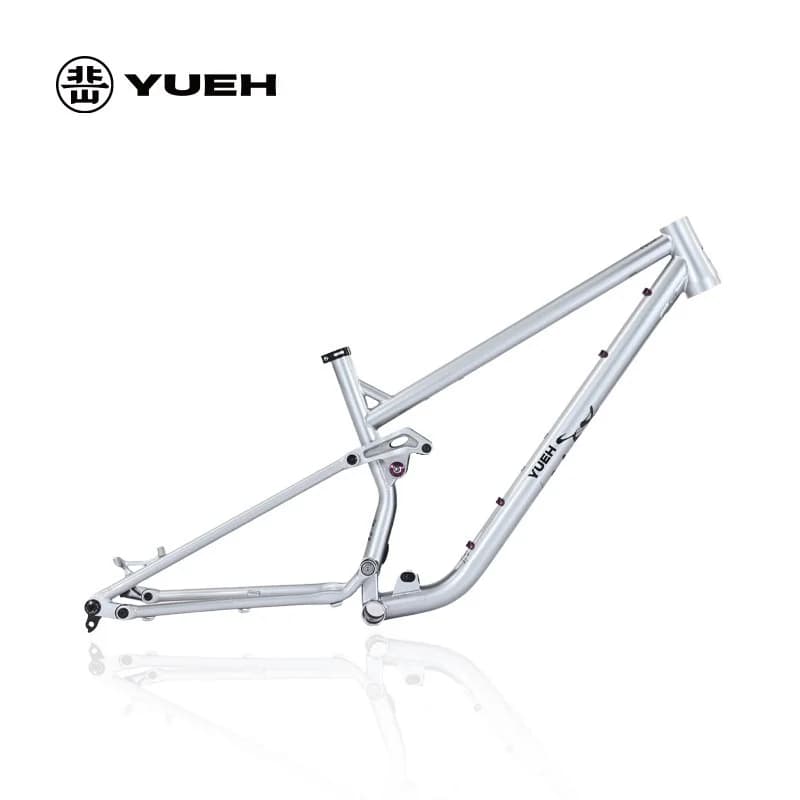 Cadre de vélo de montagne à Suspension complète 29er cadre de Suspension complète en acier Durable 1