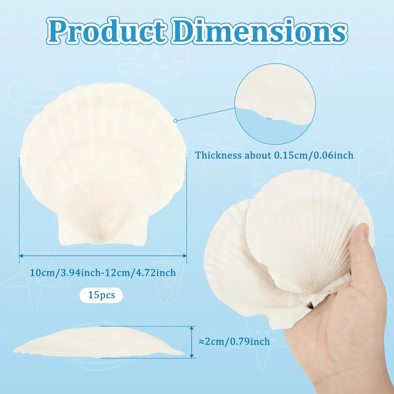 Coquilles de pétoncle naturelles, 15 pièces, artisanat, grande plage, pour la cuisson, artisanat, pe