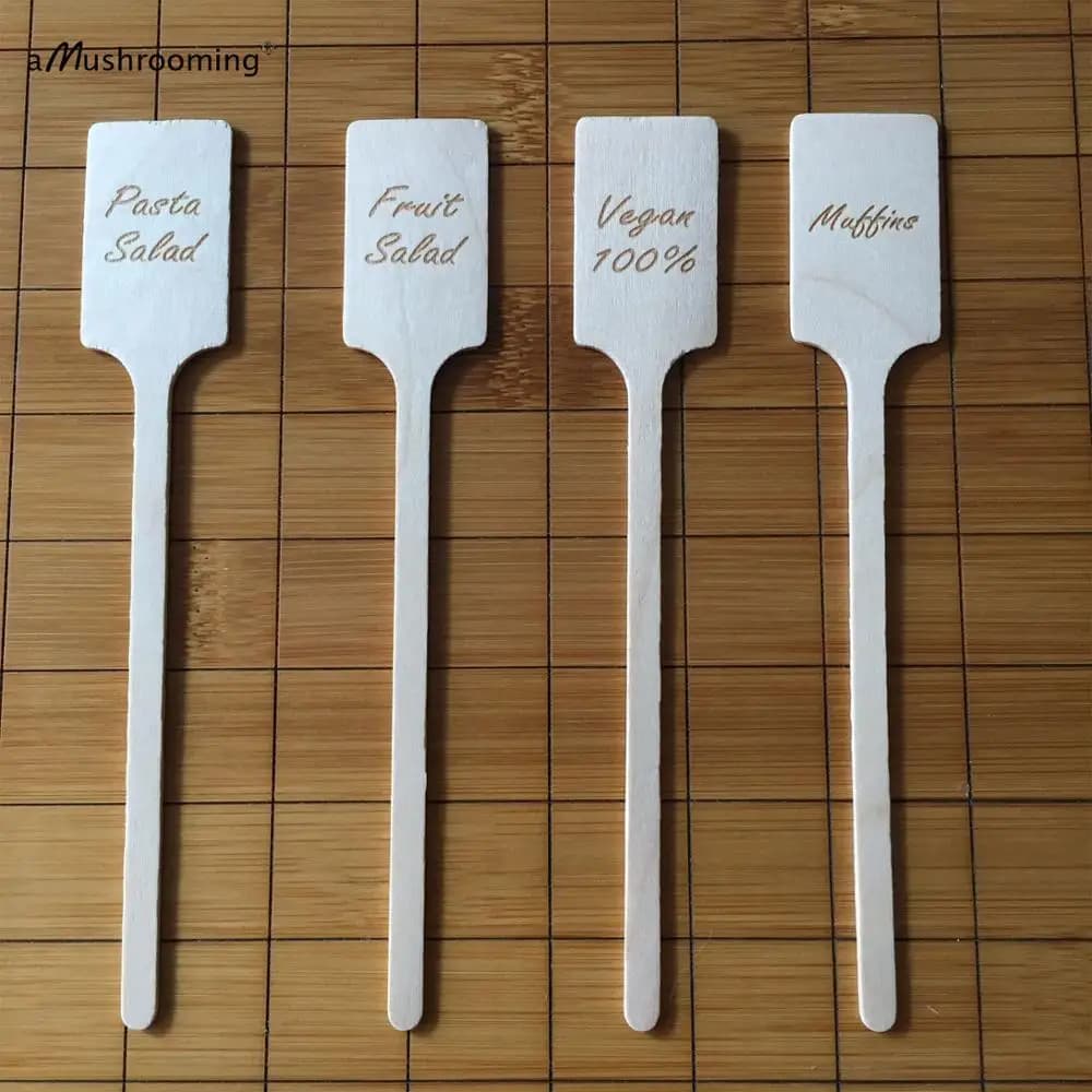 Bâtons en bois personnalisés pour décoration de gâteaux, panneaux alimentaires, marqueurs, rustique, rectangle, 100 pièces