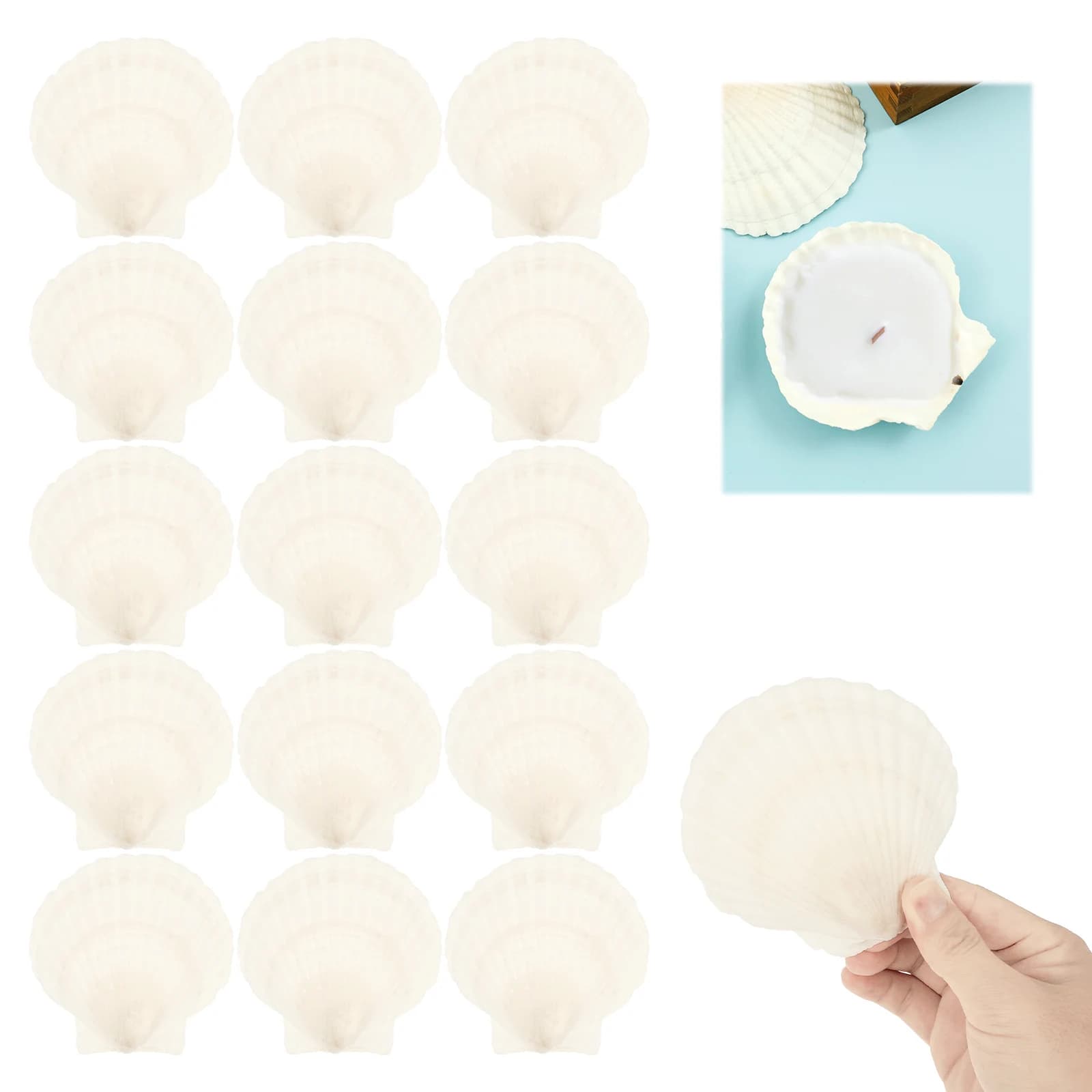 Coquilles de pétoncle blanches naturelles, pour bricolage, artisanat de pâtisserie, décor de plage, mariages, Graffiti peint à la main, autocollants muraux, artisanat de décoration