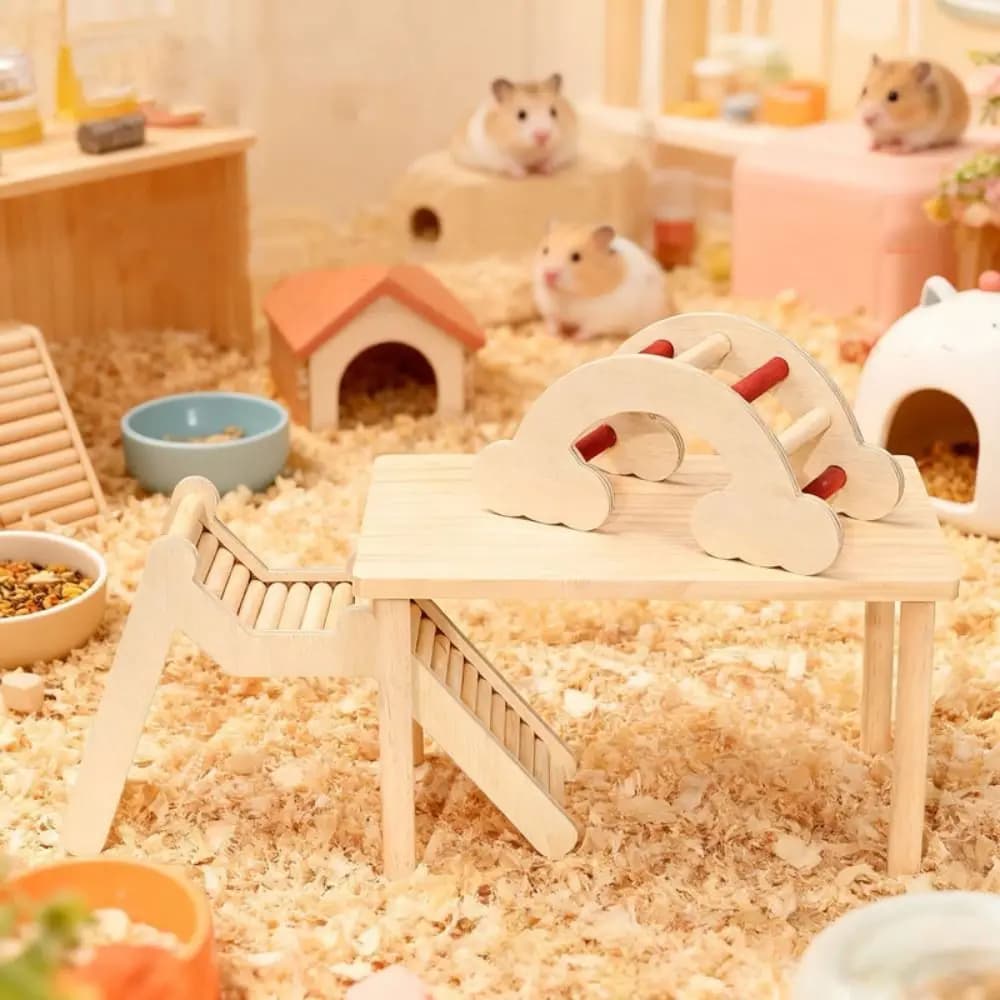 Échelle décorative en bois pour Hamster, échelle de Cage pour animaux en forme de vague, échelle d'escalade pour Hamster, pont de Suspension pour Cage