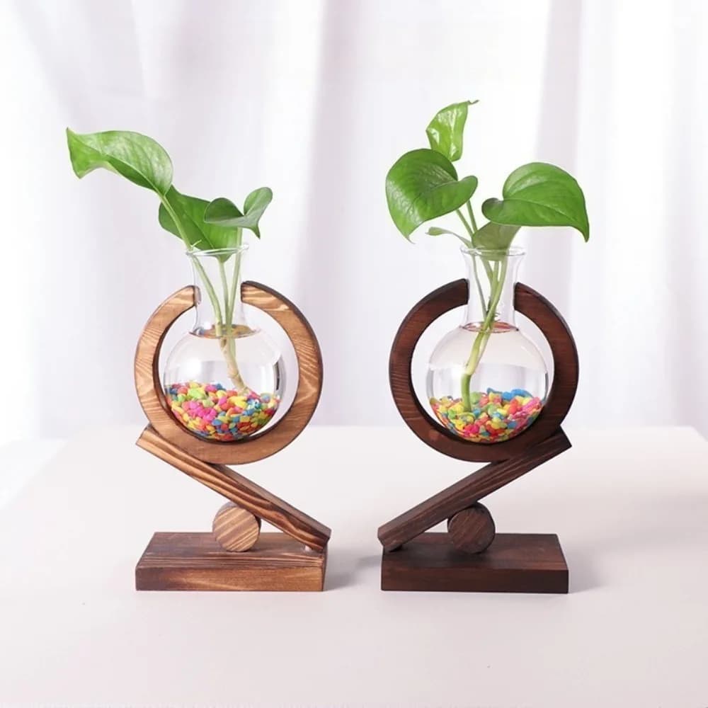 Plantes hydroponiques créatives, verre Transparent, cadre en bois, Vase, plante de lierre vert, décoration moderne de bureau Simple, ornement