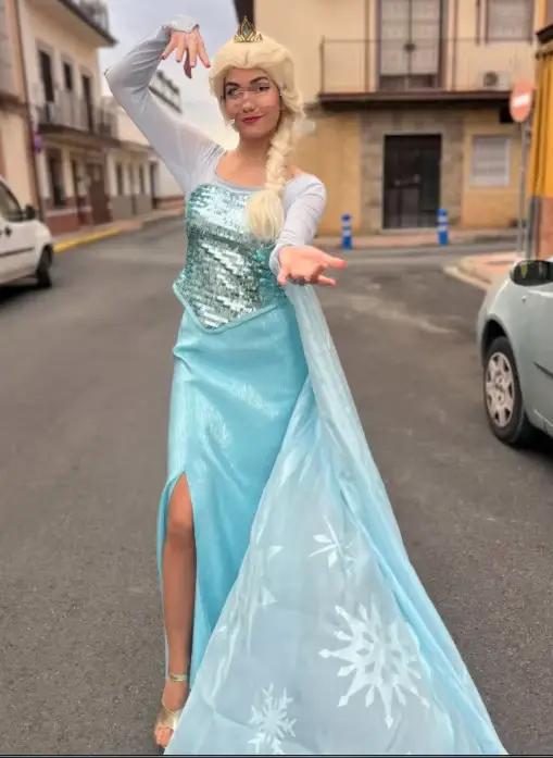 Costume de Cosplay princesse elsa pour femmes adultes, cosplay elsa
