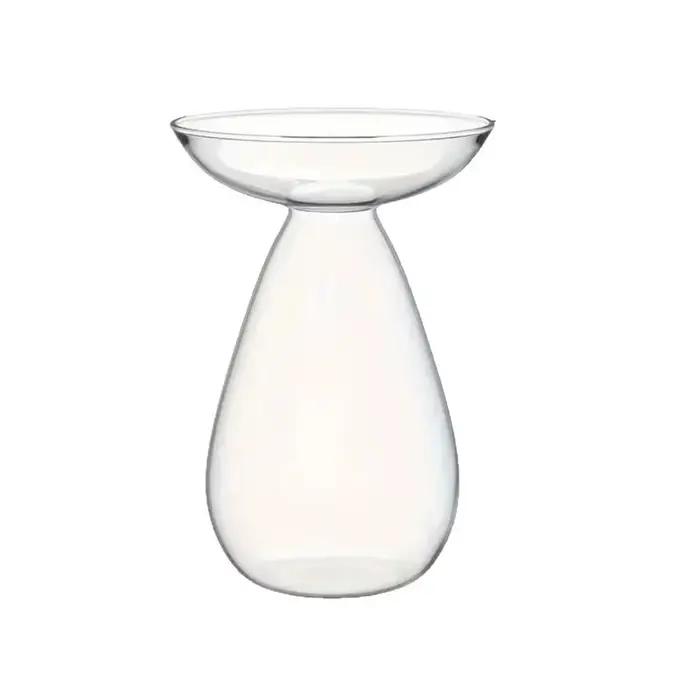 Vase transparent pour semis d'avocat, vase hydroponique en verre pour culture d'avocat, vase à fleur