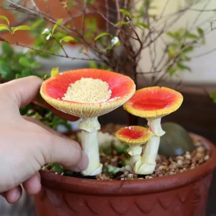 Mangeoire à oiseaux en forme champignon