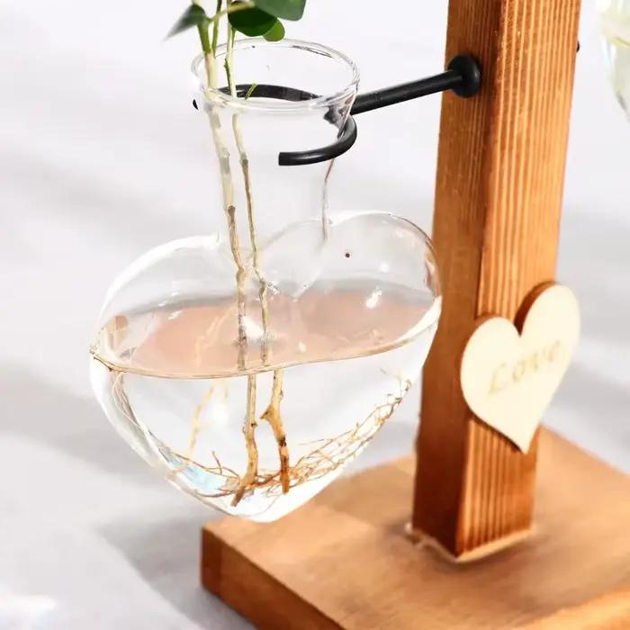 Vase en verre créatif pour plantes hydroponiques