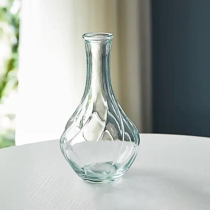 Mini vase hydroponique en verre transparent