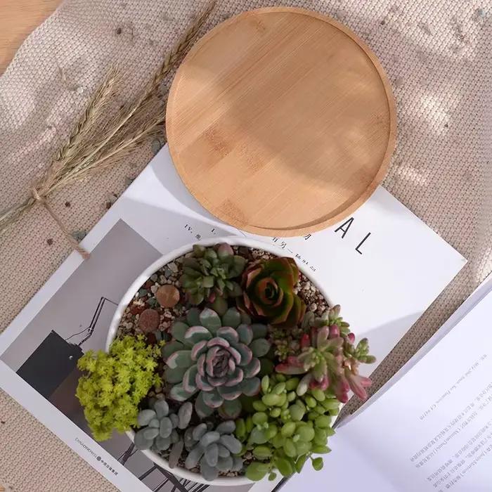 Pot de fleurs rond en céramique blanche, jardinière succulente, pot de plante quantique décoratif, récipient avec bambou, décoration de bureau à domicile