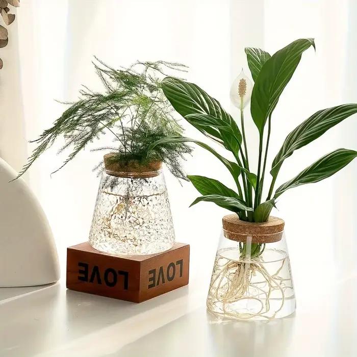 Support de plante hydroponique en verre transparent