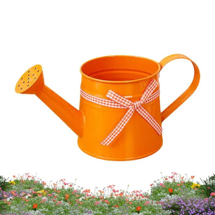 Arrosoir compact 1L avec tête de pulvérisation