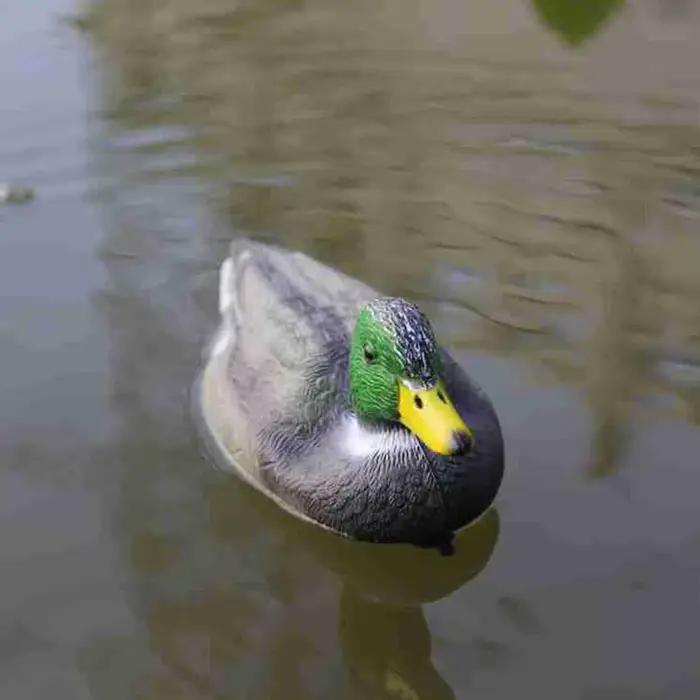 Statue de canard mandarin