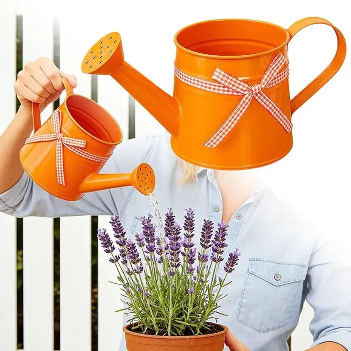 Arrosoir compact 1L avec tête de pulvérisation