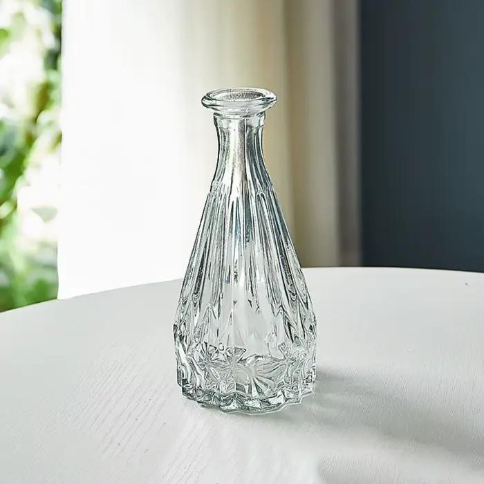 Mini vase hydroponique en verre transparent
