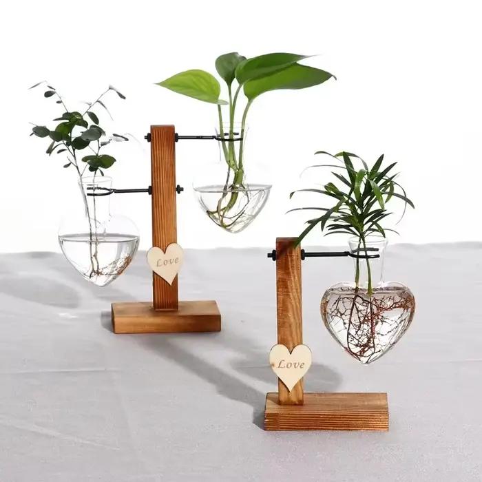 Vase en verre créatif pour plantes hydroponiques