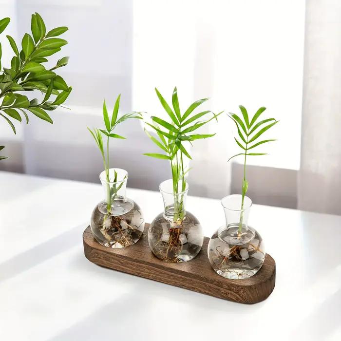 Terrarium de plantes en verre moderne avec plateau en bois – Vase hydroponique pour station de propagation intérieure
