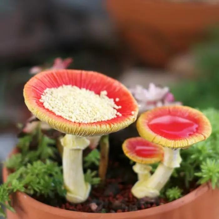 Mangeoire à oiseaux en forme champignon