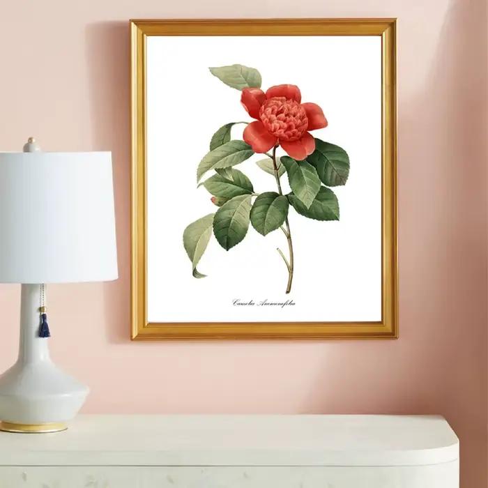PJ. Affiches et imprimés Vintage de fleurs de Redoute