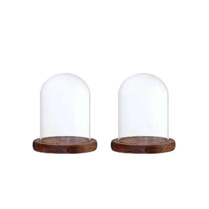 Présentoir en Verre Transparent avec Base en Bois pour Décoration