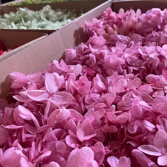 100G Grade B Hortensia en bois fleurs pour toujours